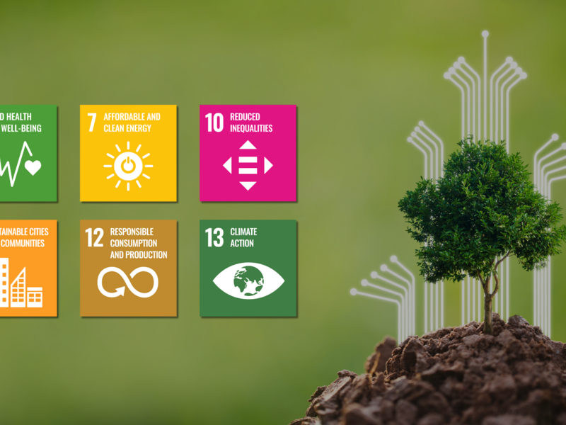 Sustainable Development Goals (SDGs)