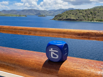Commissioning of an electric propulsion system by a T&S engineer on a cruise vessel