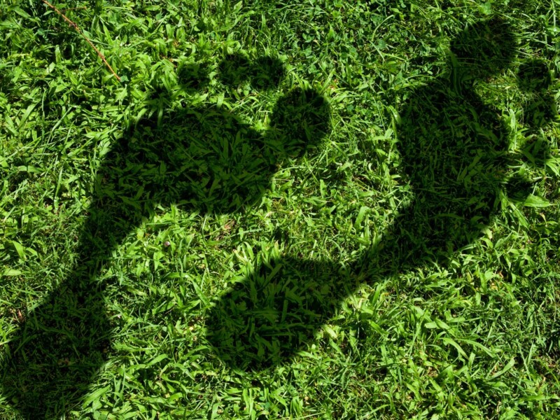 Discover the results of the technology and strategy group 2024 carbon footprint assesment