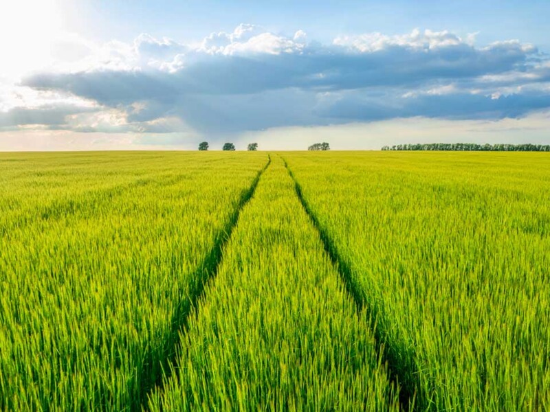 Discover the results of the technology and strategy group 2023 carbon footprint assesment